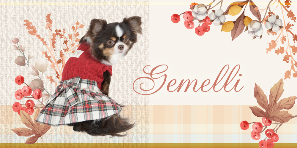 Gemelli - 最新ファッション